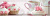Decor Meringue 02 10x30