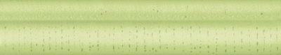 Stokrotka Verde London 5  X 25