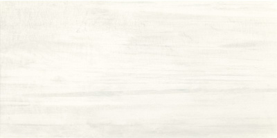 LATTERIZZIO BIANCO 30х60