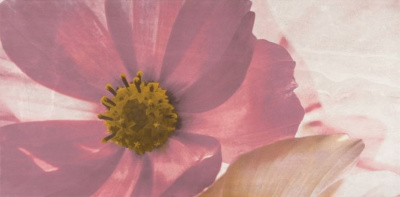 Stone Rose Inserto Flower A