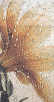 OCEAN CREMA A ДЕКОР
