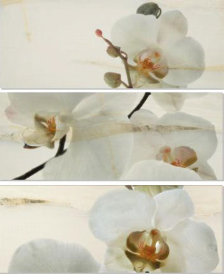 ONICE SET ORQUIDEA 3 ДЕКОР