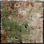 METALIC GREEN 31.2x31.2