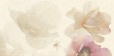 PALETTE BIANCO B ДЕКОР