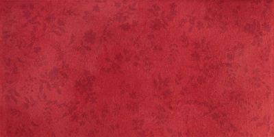 LADY ROJO СТЕНА