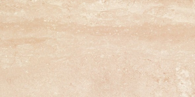 DANTE NOCE 25х50