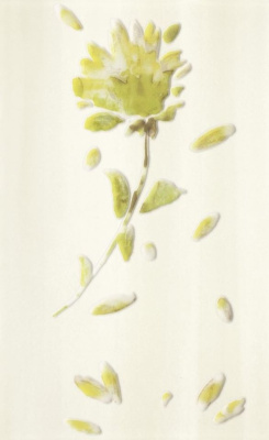 Allegro Beige Inserto А 25 X 40