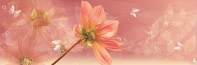 DEKOR FIORE BORDEAUX C 20*60